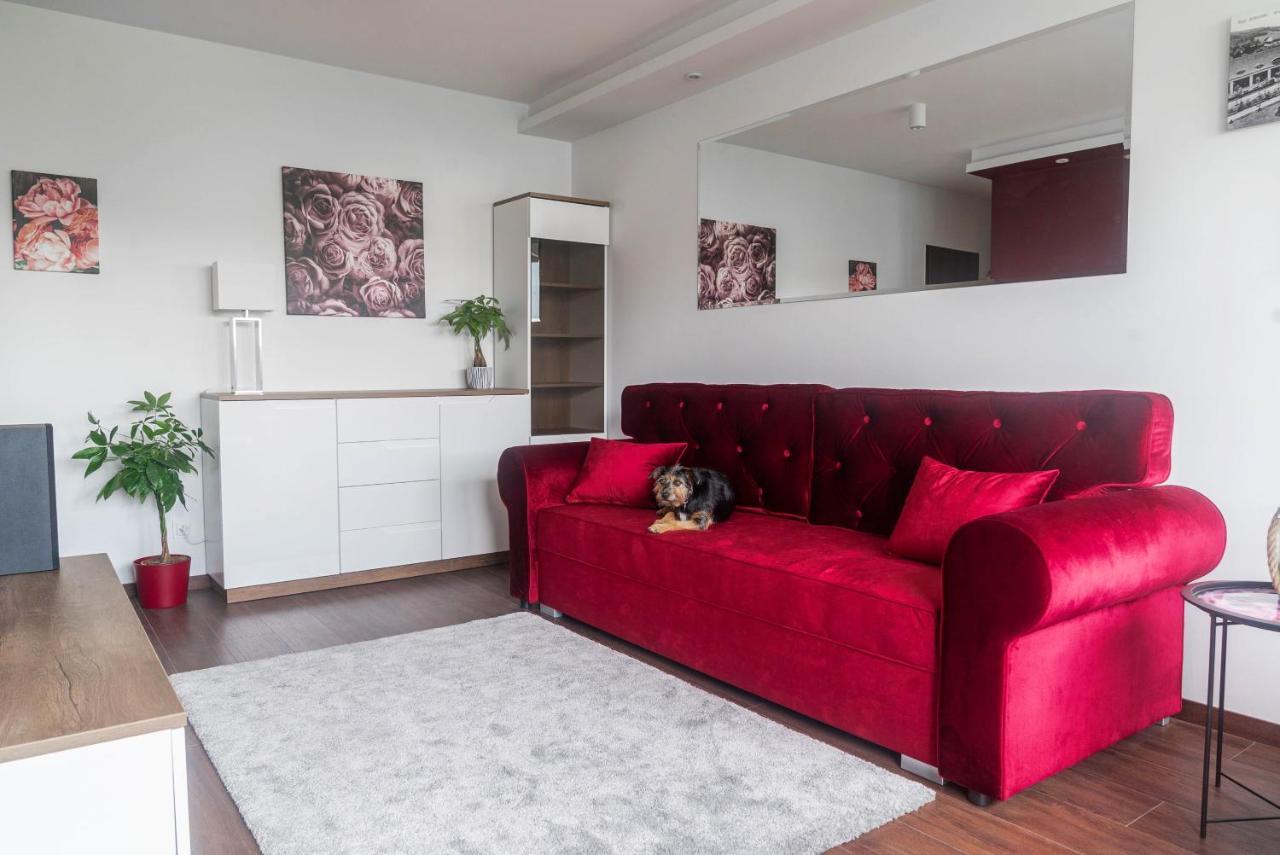 Rose Valley Apartment بولانيكا- زدروي المظهر الخارجي الصورة